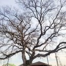 모전1리 이미지