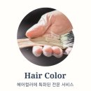 세련헤어 - 정읍시 | 세련헤어
