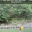 도니우니