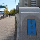 봉양교 Daum카페