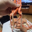 봄철 홍게 맛집 흥국농수산 택배 최저가 보장