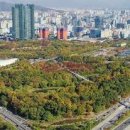 금정산_숲길(등산)1코스 이미지