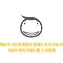 디자인달콩
