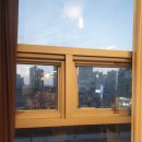 햇살품은 파스타 이미지