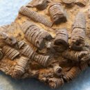 반도기계 이미지