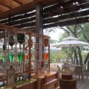 춘심이네 식당 이미지