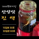 강원도 삼순이네 산삼농장