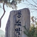 구학농장 | 안드레아의 추계 치악산둘레길 8코스 거북바우길 2022-11-24