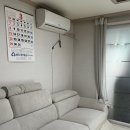 소로2-중리49 | 구미점집 추천 칠곡 석적 처녀보살 골매기대신당 솔직후기