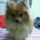 마산육일약국 이미지