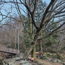 지리산(대구) | 대구점집 옥황신당 신점 지리산 기도 다녀온 후기