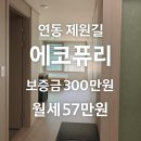 에코퓨리 | /[연동 에코퓨리] 제원길 중심 위치｜공항·누웨마루 인접｜전입가능 풀옵션 발코니 원룸(보증금 300만...