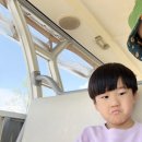 놀이원 | 부산 해운대수목원 아이와 방문 후기 셔틀카트 시간표 올챙이구경