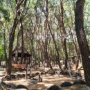 신어산 산림욕장 이미지