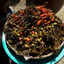 비로소 봄 이미지