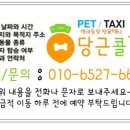 당근콜펫 네이버블로그