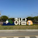 [마라톤] 갑자기 전기사랑마라톤대회 개인 참여 후기