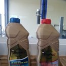 고고카 서비스 이미지