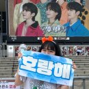 구로-고척-구로-806 | [캐럿로그💎] 응, 나 아직 캐럿 😋