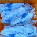 수재농장 이미지