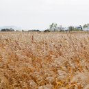 생태공원농장 이미지