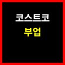 (주)렉스렌터카 | 코스트코 꿀템부터 고수익 활용법까지 총정리