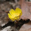 전국율곡서예대전 이미지