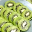 뉴질랜드 그린키위&amp;완숙토마토 &amp;&amp;대추방울토마토&amp;허니골드 파인애플!!!!! 이미지