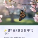 뷰티샵 이미지