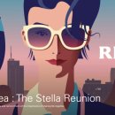 STELLA KOREA 이미지