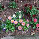 만복경로당 이미지