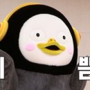 하트여행사 이미지