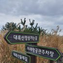 남영관광 이미지