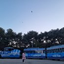 다누비 네이버블로그