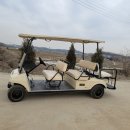 신흥카전문정비공장 | 골프카 렌트 고민 끝! 스탠다드글로벌에서 골프카트 임대 알아본 후기