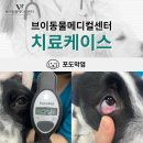 아라동물병원아라메디칼