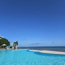 투비메드 | 1. 본격 이시가키지마 여행 준비 (꿀팁 한가득💕)