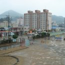 완도초등학교 앞 이미지