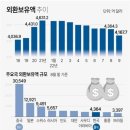 '환율방어'에 외환보유액 197억달러 급감…금융위기후 최대폭 (27조 6천억원) 이미지