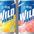 와일드 스포츠조선