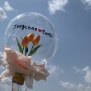 버블버블 이미지