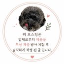 벳글로벌