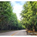 (주)중부메디칼 이미지