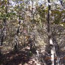 큰골목장 이미지