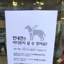 롯데마트입구 이미지