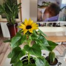 늘봄추어탕 이미지