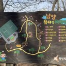 남양 유아숲체험원 이미지