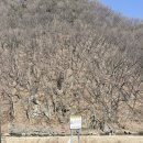 인명구조함-41