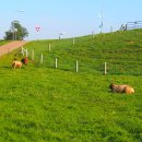 대화목장 이미지