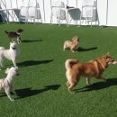 태식농장 이미지